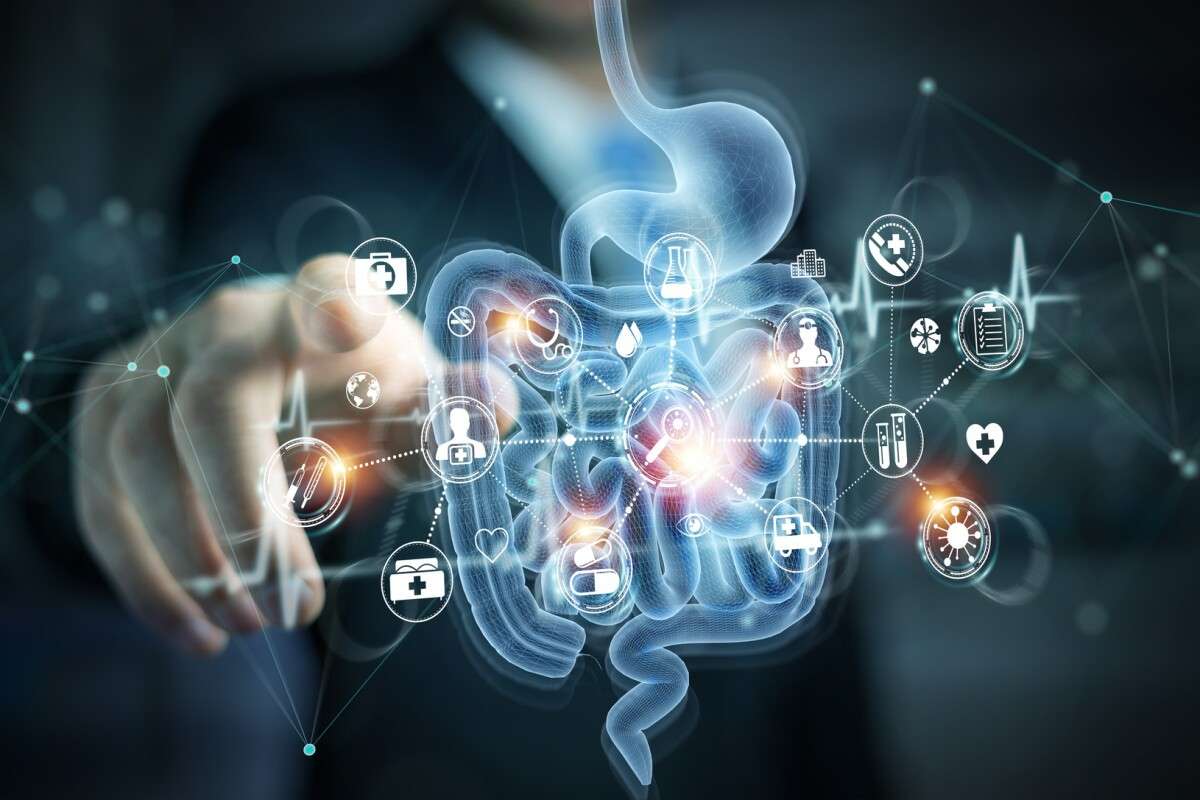 The BioArte microbiota diagnostic microbiome lab Malta