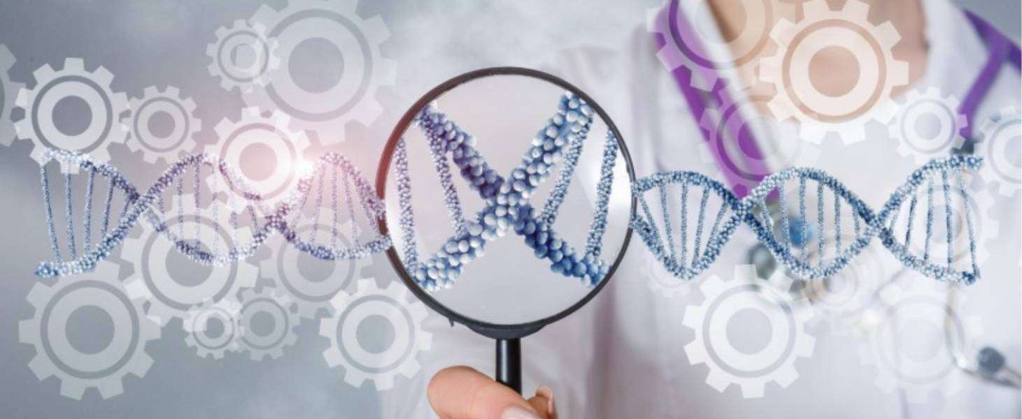 The-BioArte-Ltd.Business to Business